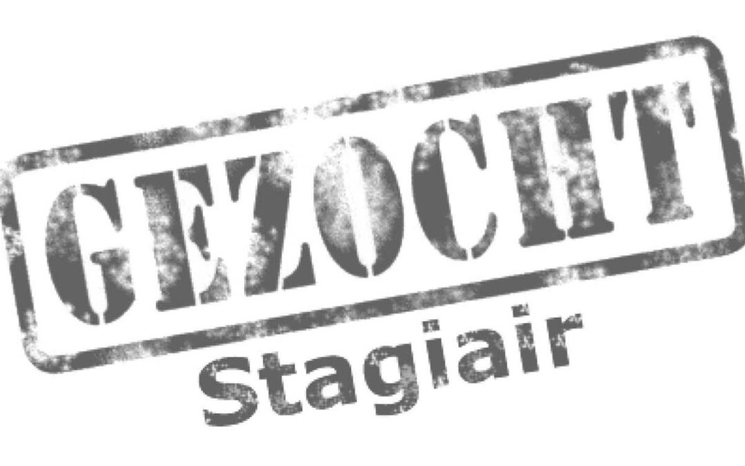 Stagiair of stagiaire gezocht