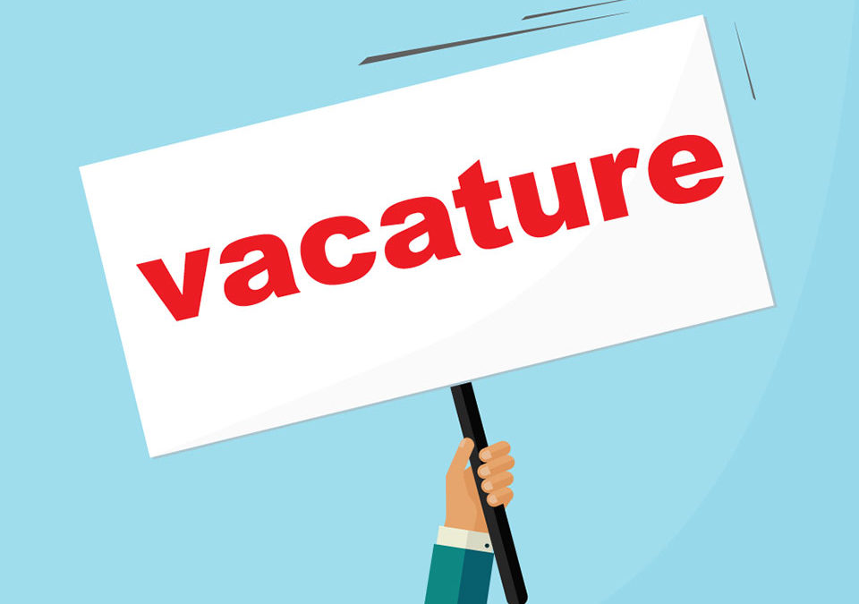 vacature-website-960×675